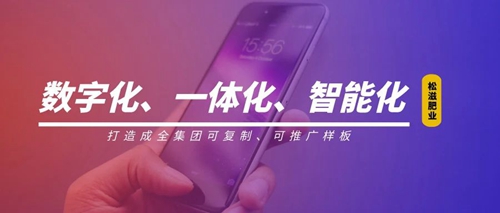 線上辦公零接觸！松滋肥業(yè)信息化在戰(zhàn)“疫”之中顯身手(圖1)