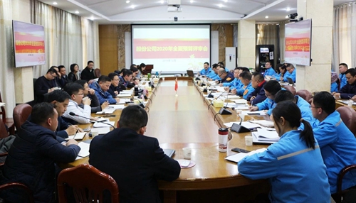王大真調(diào)研指導股份公司、化機公司和TMP新項目2020年財務預算工作