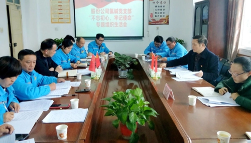 向宇飛列席指導股份公司氯堿黨支部“不忘初心、牢記使命”專題組織生活會